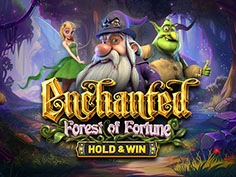 Enchanted: Forest Of Fortune