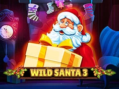 Wild Santa 3